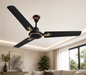 MOASIS Ceiling Fan - Black & Gold